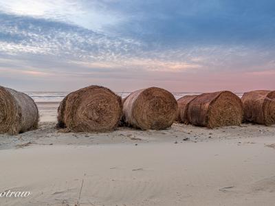Texel Strandpaviljoenpaal28