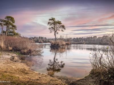 Oisterwijkse Vennenreflexie