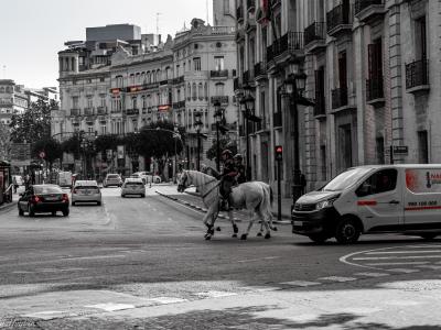 Valencia Politie te Paard 