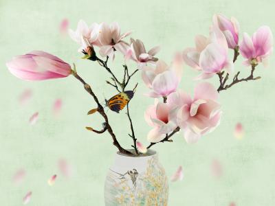 Magnolia In Vaas